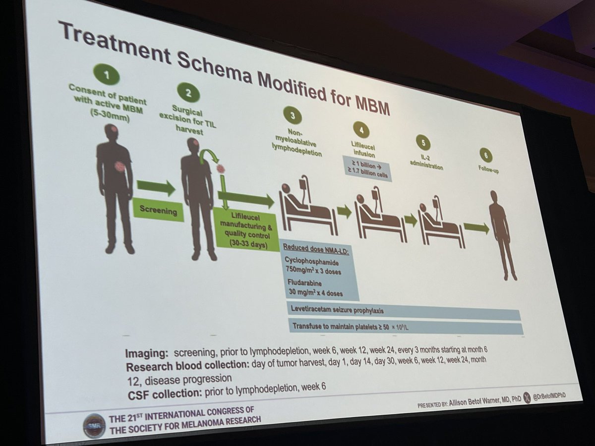 Evan Hall tweet media