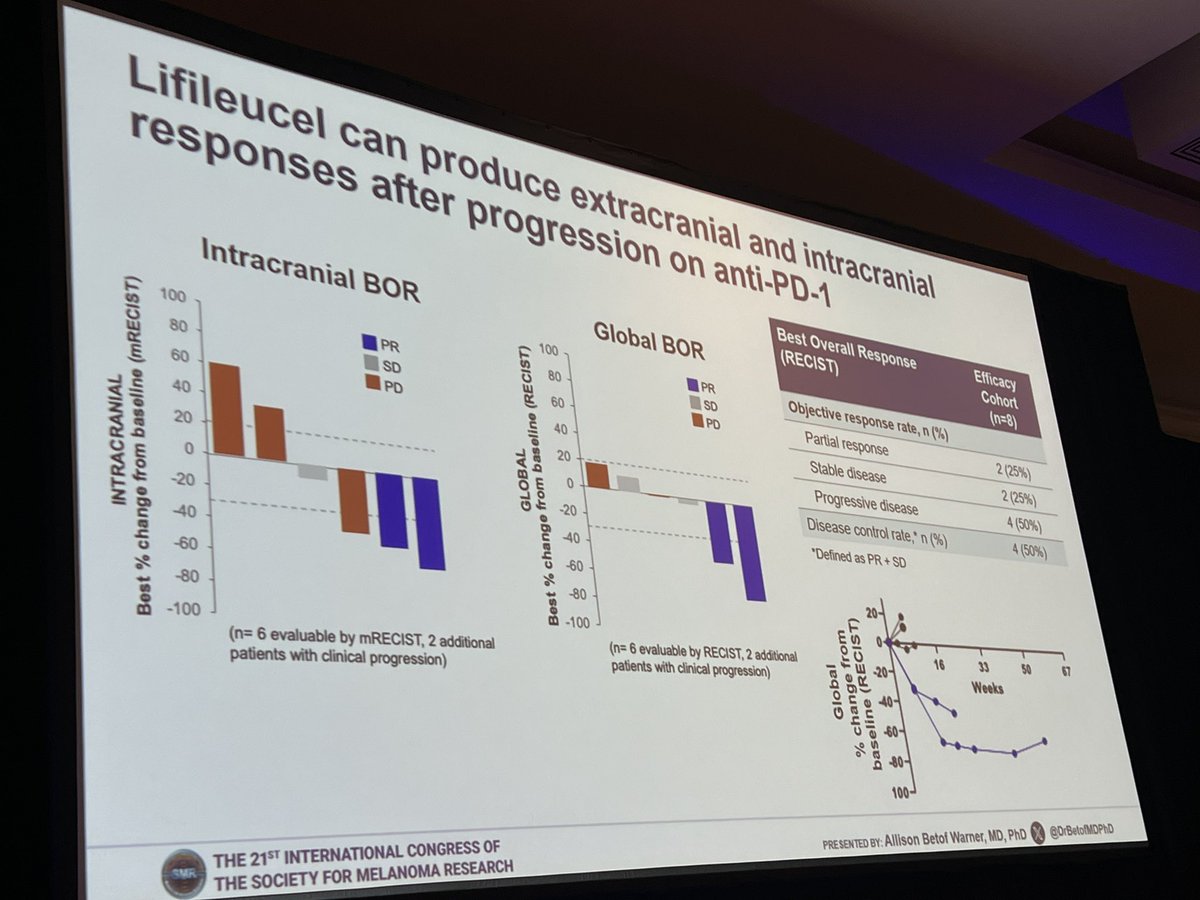 Evan Hall tweet media