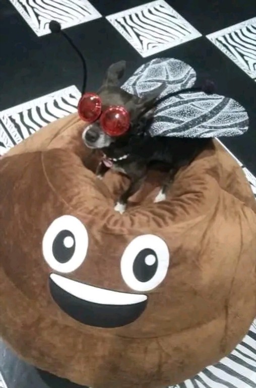 El disfraz perfecto no exist…