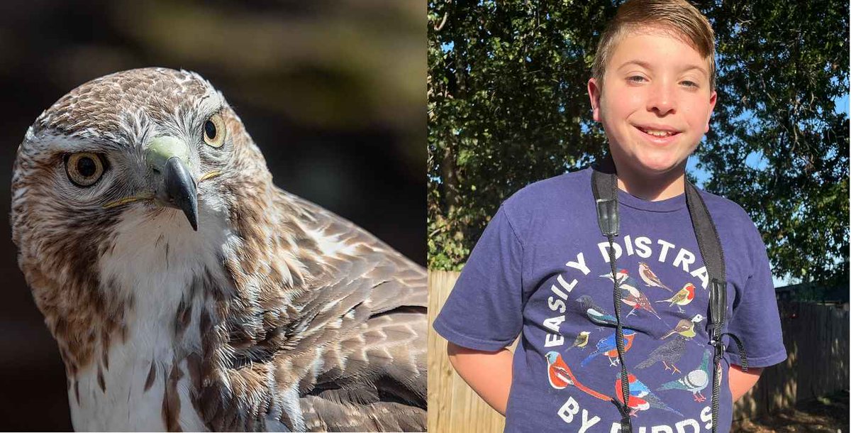 biz4goodshow's tweet image. #Animals #TopVideos Amazing Kid Wows the Internet with His Incredibly Accurate Bird Calls (Watch) dlvr.it/TFFH78