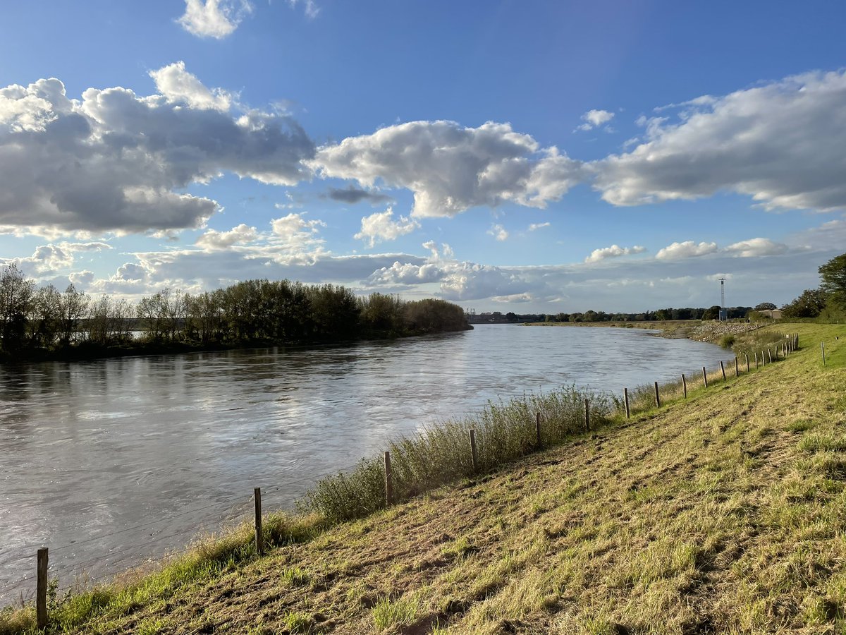 Blijven altijd mooie plaatjes van zo'n hoogwatergolfje #obbicht <a href="/waterpeilen/">waterpeilen</a> <a href="/grensmaas/">Grensmaas</a>