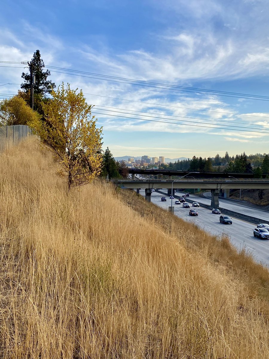 althepal530 (@althepal530) on Twitter photo This looks like a great start to the weekend. Will you be traveling or exploring the Inland NW? #upwithkrem <a href="/KREM2/">KREM 2 NEWS</a> <a href="/MsChanningC/">Channing Curtis</a> <a href="/NewsPham/">KREM 2 Tim Pham</a> <a href="/ThomasPatrickWx/">Thomas Patrick</a> This looks like a great start to the weekend. Will you be traveling or exploring the Inland NW? #upwithkrem <a href="/KREM2/">KREM 2 NEWS</a> <a href="/MsChanningC/">Channing Curtis</a> <a href="/NewsPham/">KREM 2 Tim Pham</a> <a href="/ThomasPatrickWx/">Thomas Patrick</a>