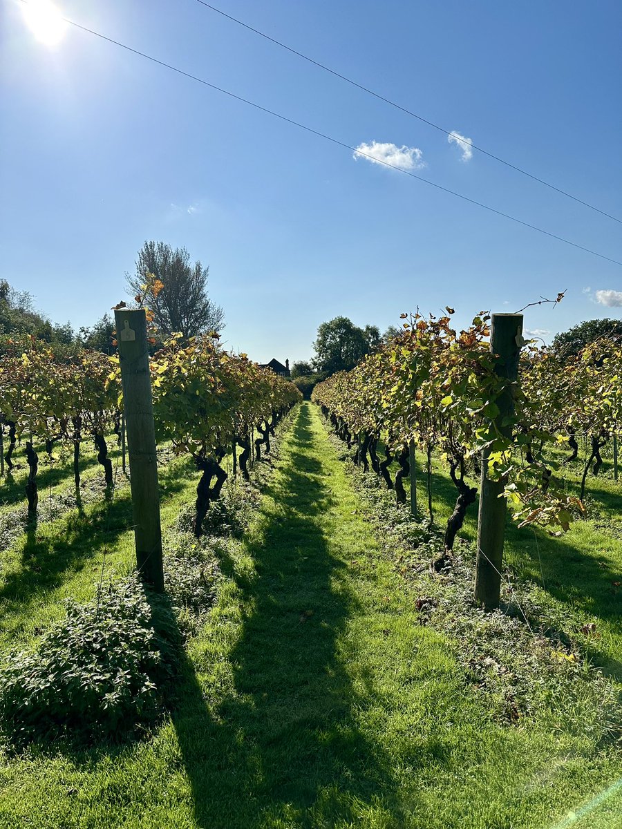 Paul Modley tweet media