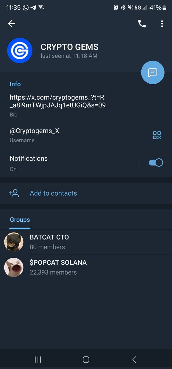 Batcat Returns tweet media