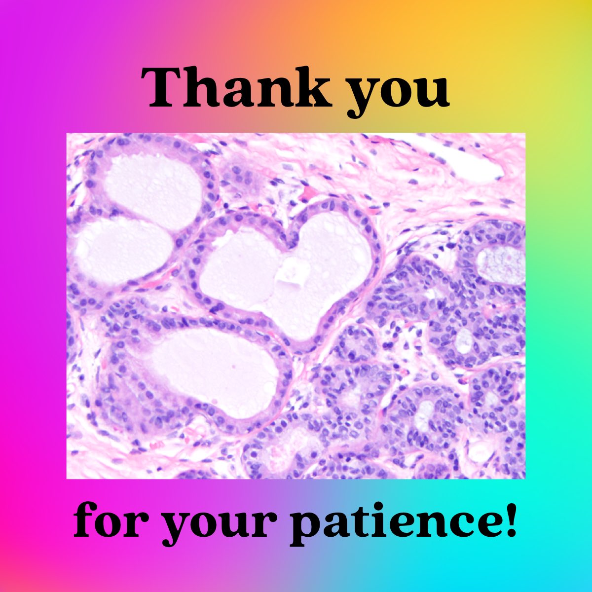 LuisBlancoJrMD's tweet image. @NU_Pathology is participating in the #PRODS timeline recommendation. We are  doing holistic reviews of #PathMatch24 applications. Apologies I cannot respond to all email inquiries. We will send out our first round of invites in 10/18! apcprods.org/residency-reso…