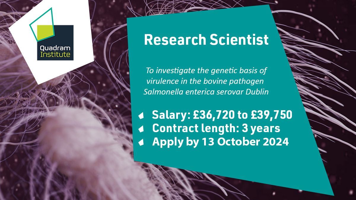 Do you love genome analysis? 
Have some free time this weekend?
Looking for an awesome opportunity?

We’re looking for a Postdoc to join us to investigate the genetic basis of virulence in bovine pathogen Salmonella Dublin🐮🦠
🚨Only 3 days left to apply🚨
buff.ly/3MVgd7H