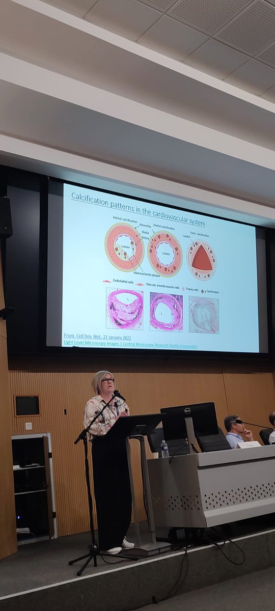ISCCa_2024's tweet image. It's all about cardiovascular calcification! Another great oral communication, by Dr Viktória Jeney (Hungary) #ISCCa2024