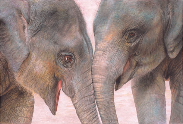 Wildlife artist @charlottewil12 is donating 40% of the proceeds of this original artwork to Monitor. Thank you Charlotte for being a friend to #wildlife! If you love elephants, this one is for you!
