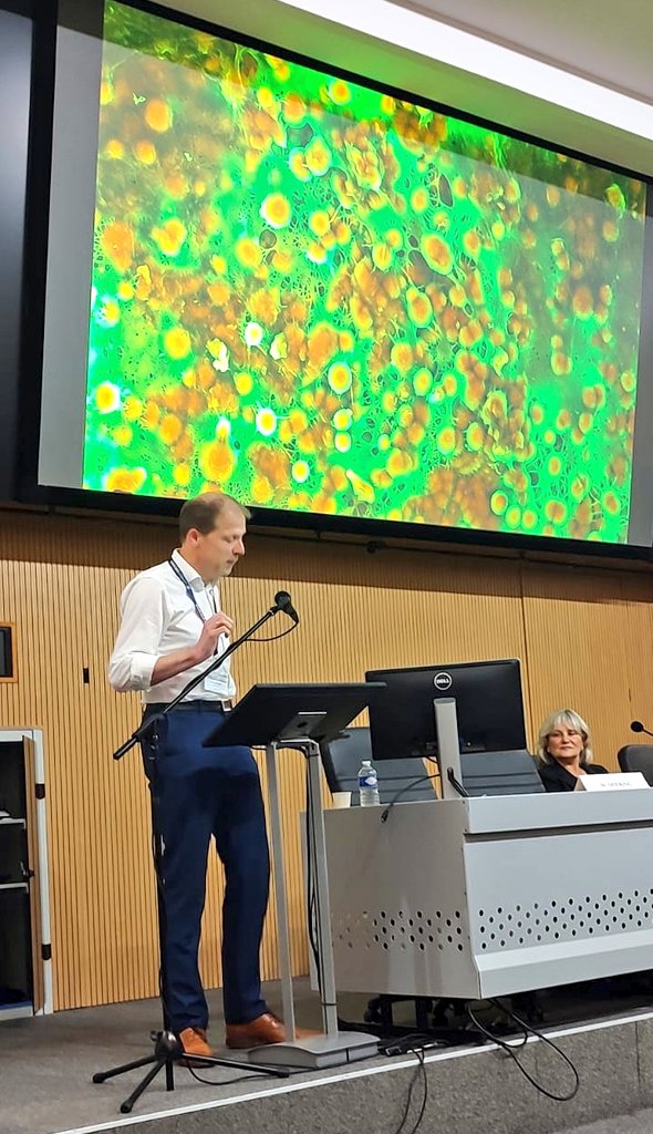 ISCCa_2024's tweet image. Last but not least, great talk about drug treatment of arterial calcification by
Dr Wilko Spiering at #ISCCa2024