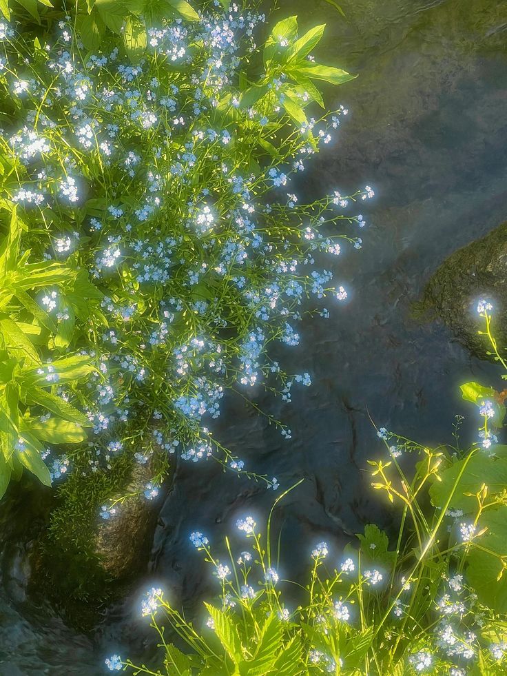 greenvibe's tweet image. 