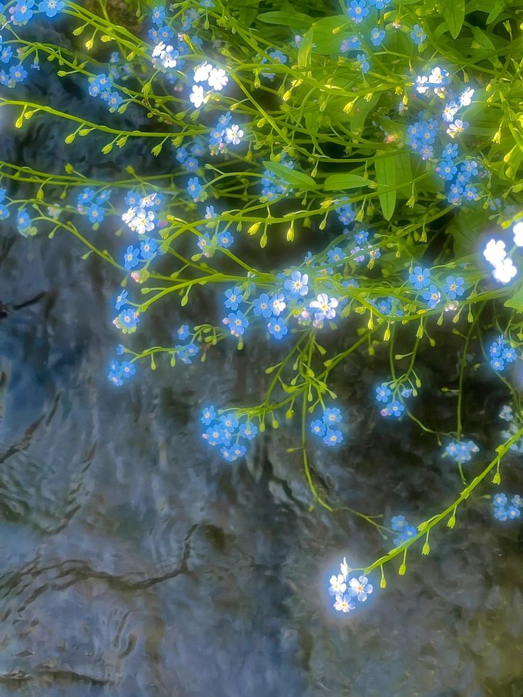 greenvibe's tweet image. 