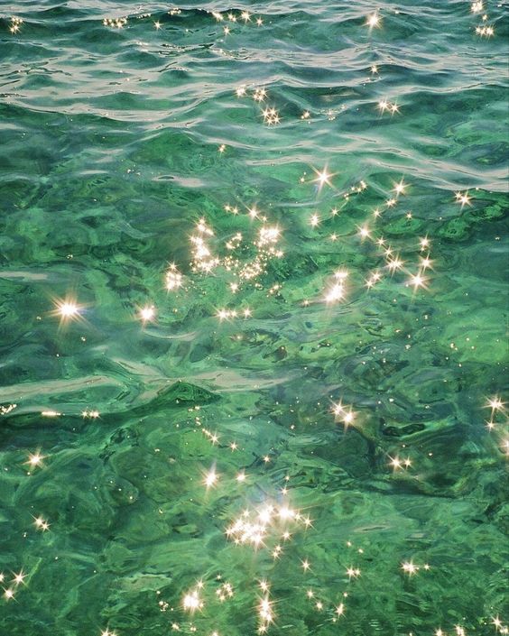 greenvibe's tweet image. 