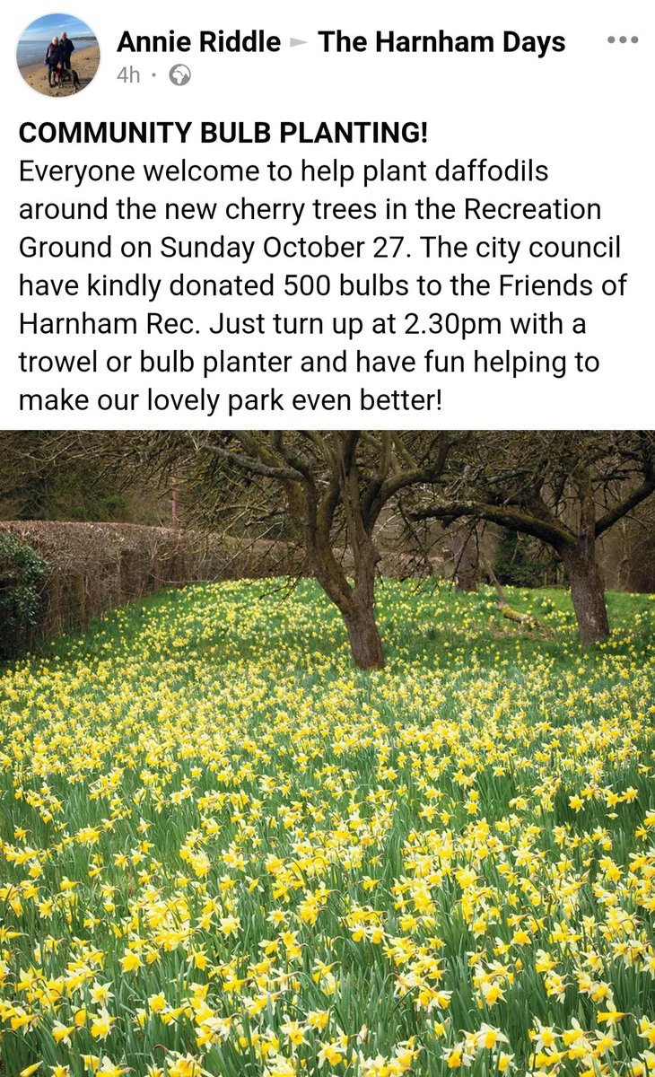 Harnham Parish (@harnhamparish) on Twitter photo There is a community bulb planting event on Sunday 27th Oct from 2.30pm on Harnham rec. <a href="/SalisburyCC/">SalisburyCityCouncil</a> have kindly donated 500 bulbs. All welcome, bring your own trowel if possible 🏵🌷 There is a community bulb planting event on Sunday 27th Oct from 2.30pm on Harnham rec. <a href="/SalisburyCC/">SalisburyCityCouncil</a> have kindly donated 500 bulbs. All welcome, bring your own trowel if possible 🏵🌷