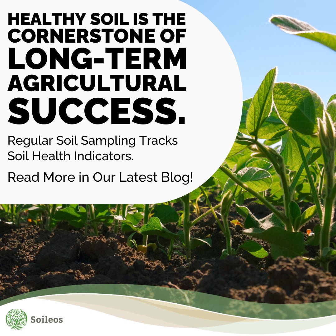Regular soil sampling tracks soil health indicators, allowing farmers to implement practices that nurture this vital resource. Invest in soil health today with Soileos for a better tomorrow. Learn more in our latest blog: hubs.ly/Q02NtKdx0 #SoilHealth #ClimateSmart #Soileos