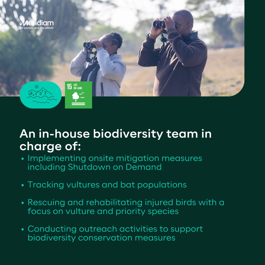 Meridiam's tweet photo. .#WorldMigratoryBirdDay is celebrated on May 11 & tomorrow, Oct 12, in keeping with the cyclical nature of bird migration in the different hemispheres.
Discover how the #Kipeto onshore #Windfarm is ‘’transforming the way #renewableenergy, #communities and #wildlife coexist’’ https://t.co/wKeRskKdEu