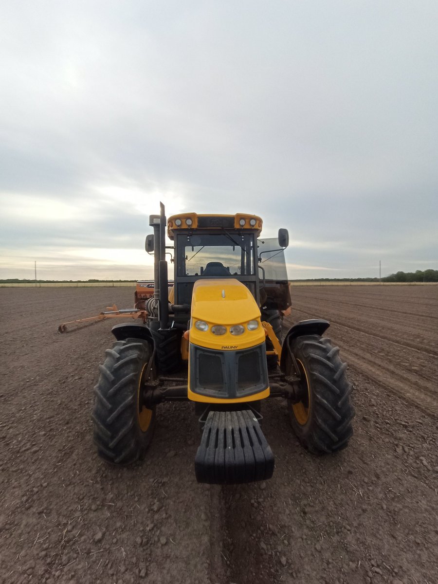 CarlisAlt's tweet image. Primeras hectáreas de siembra para el &quot;amarillito&quot; #Sorgo