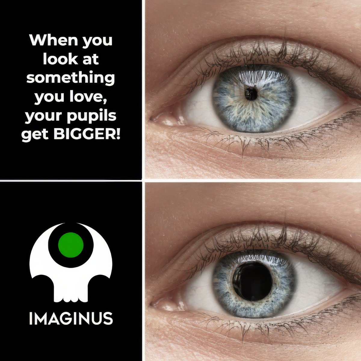 Dima35109517's tweet photo. 👏#Imaginus is a groundbreaking #Game that combines a classic #2DPlatform with cutting edge #Blockchain technology

🧩Through Blockchain, you can own your in game achievements as Digital collectibles. This means you can sell them or keep them as part of your #Digital collection

➡️https://t.co/37dZEonPUm
