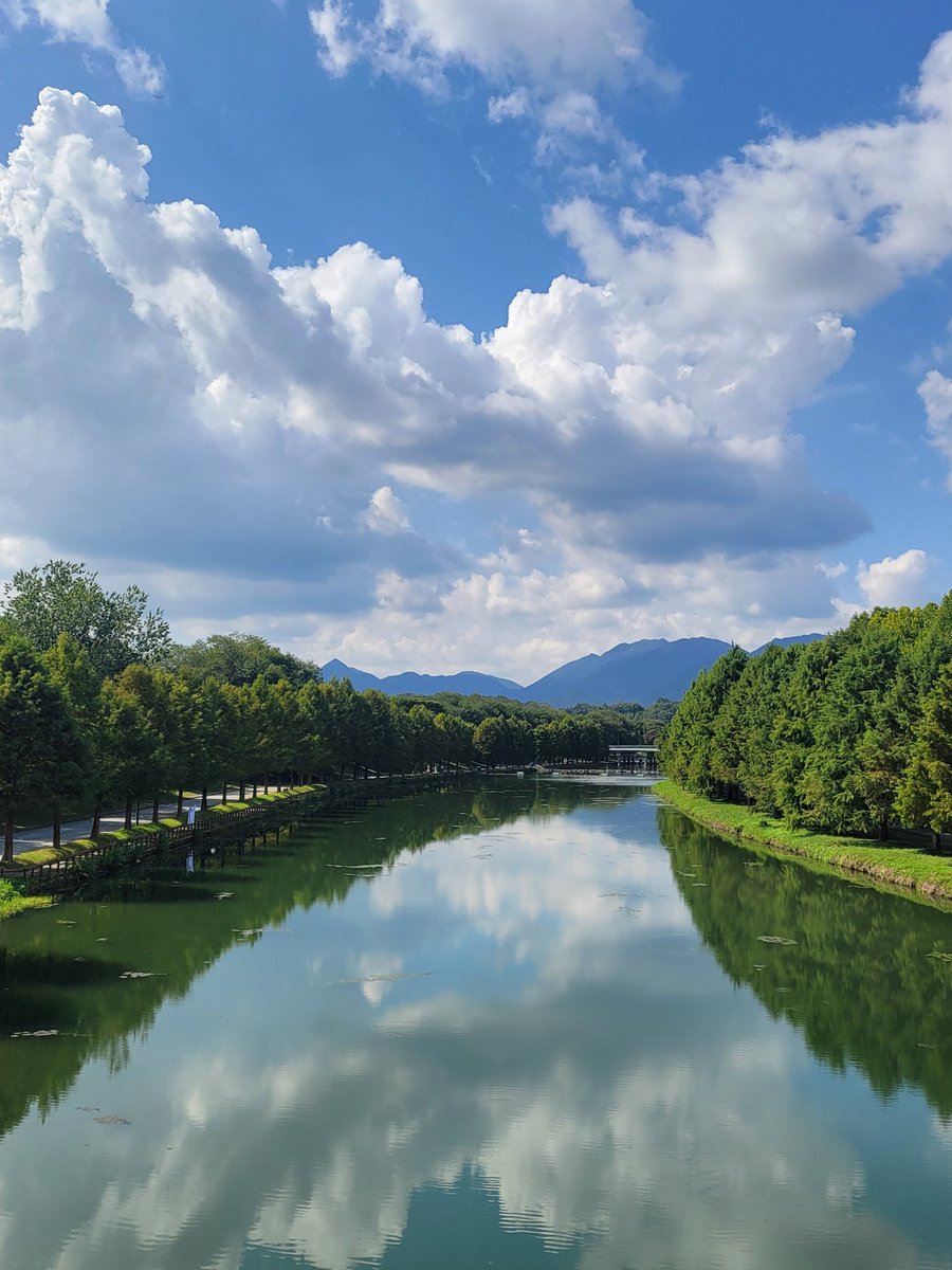 bangtan_elfe's tweet photo. Then you can take a stroll by the river nearby, looking at the fishes and the big trees. There is a "Cold Noodle Street" there where you can have lunch overlooking the river on a wooden platform. Eggs are apparently a must with this dish!
#Damyang https://t.co/8wcC36WQ3J