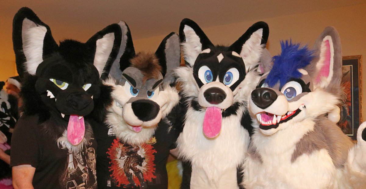 Happy #fursuitfriday from me and the boys! 

🐾 : <a href="/VidelTheWusky/">Videl 🐺🔜 MFF</a> , <a href="/Duran__Wolf/">Duran Wolf 🔜 MFF</a> , and <a href="/SaloHusky/">Salo Husky</a> 

🪡 : <a href="/MoreFurLess/">More Fur Less</a> 

📸 : <a href="/Bucky_Husky/">Bucky_Husky</a>