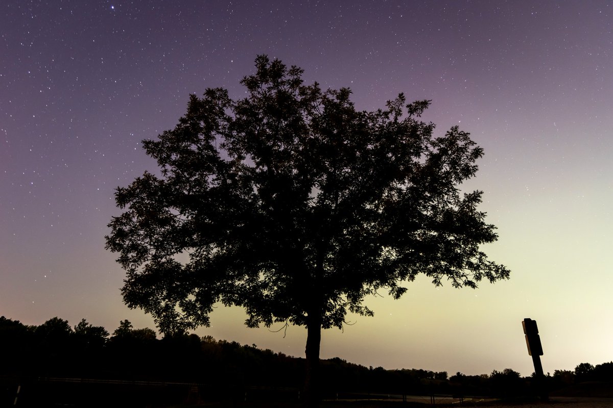 thinkiowacity's tweet photo. 📸 Aurora borealis at F.W. Kent Park in Johnson County.
Oct. 10, 2024.
#ThinkIowaCity photos by @josephwcress #NorthernLights #Aurora #AuroraBorealis #iawx https://t.co/8z9Y9jcOHV