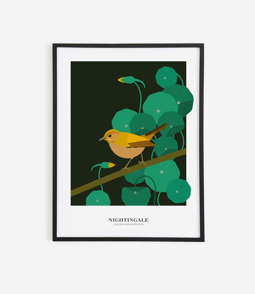 JustynaWiesek's tweet photo. Simplicity is the key to beauty - Illustration of a nightingale created of circles

#design #poster #bird #nightingale #circle #illustration #birdillustration #botanicalart #naturelovers #art #birdposter #beauty #mininalaesthetic https://t.co/cZ26SGYLyR