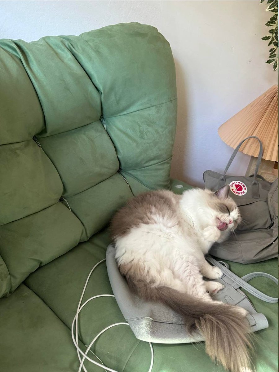 Relaxing 😅
