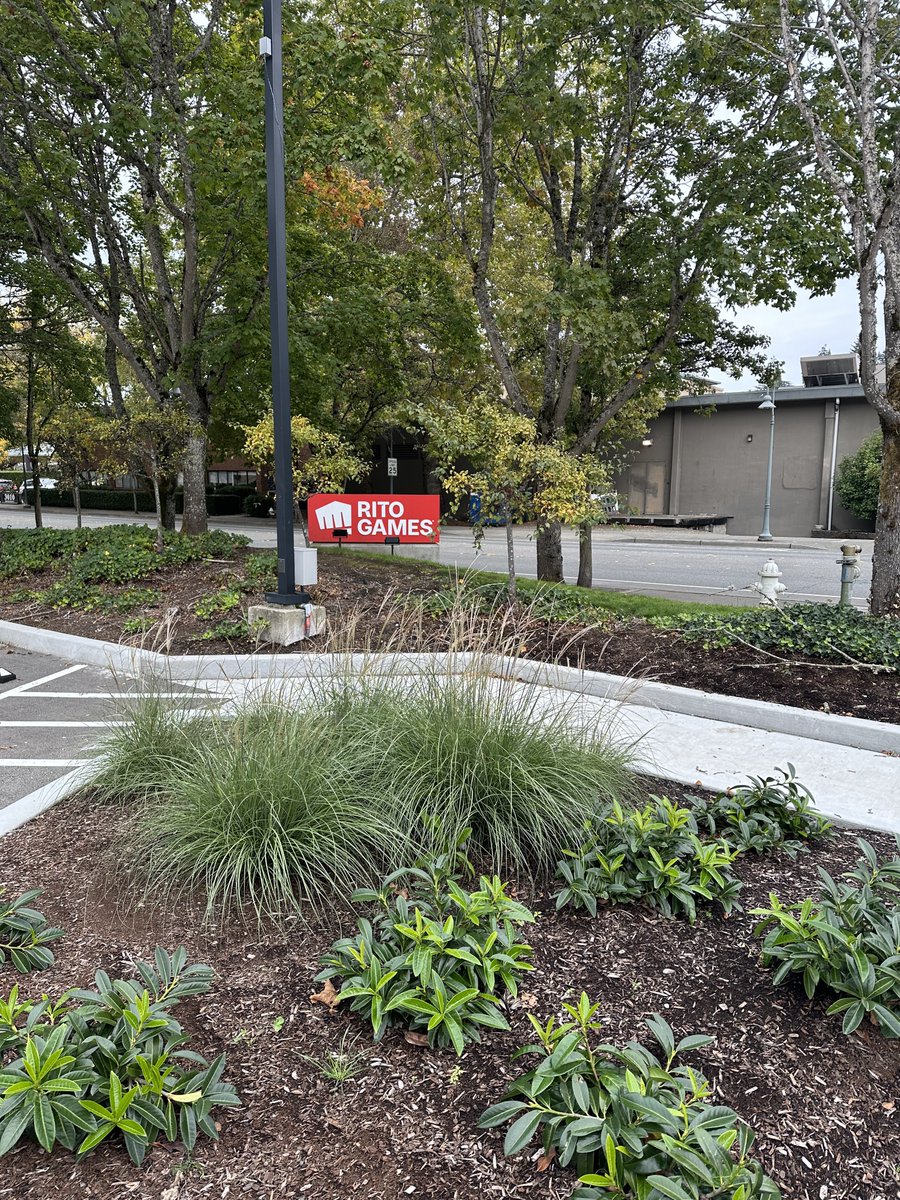 Got to visit a friend an check out the Riot office here in Seattle.