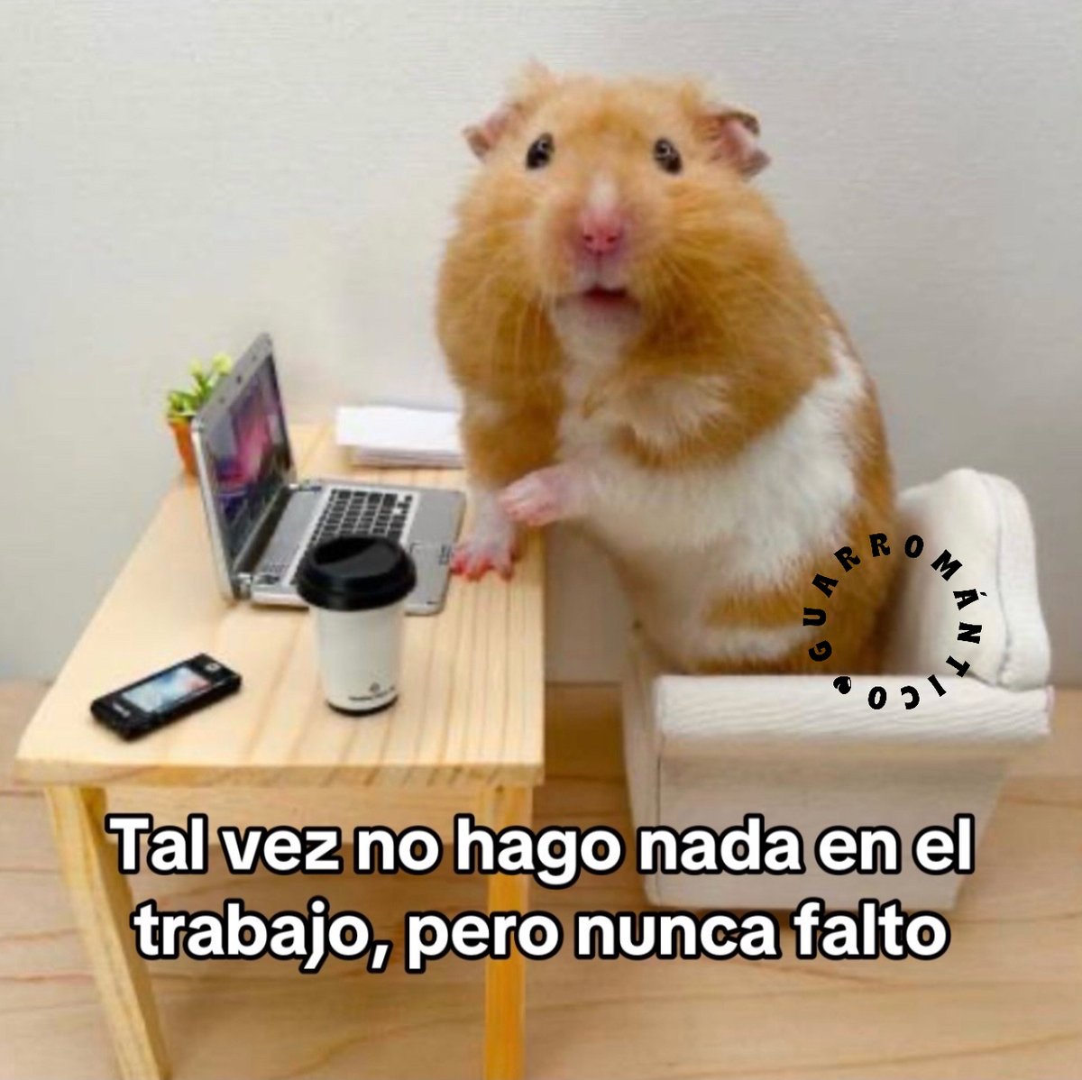 El Guarromántico tweet media