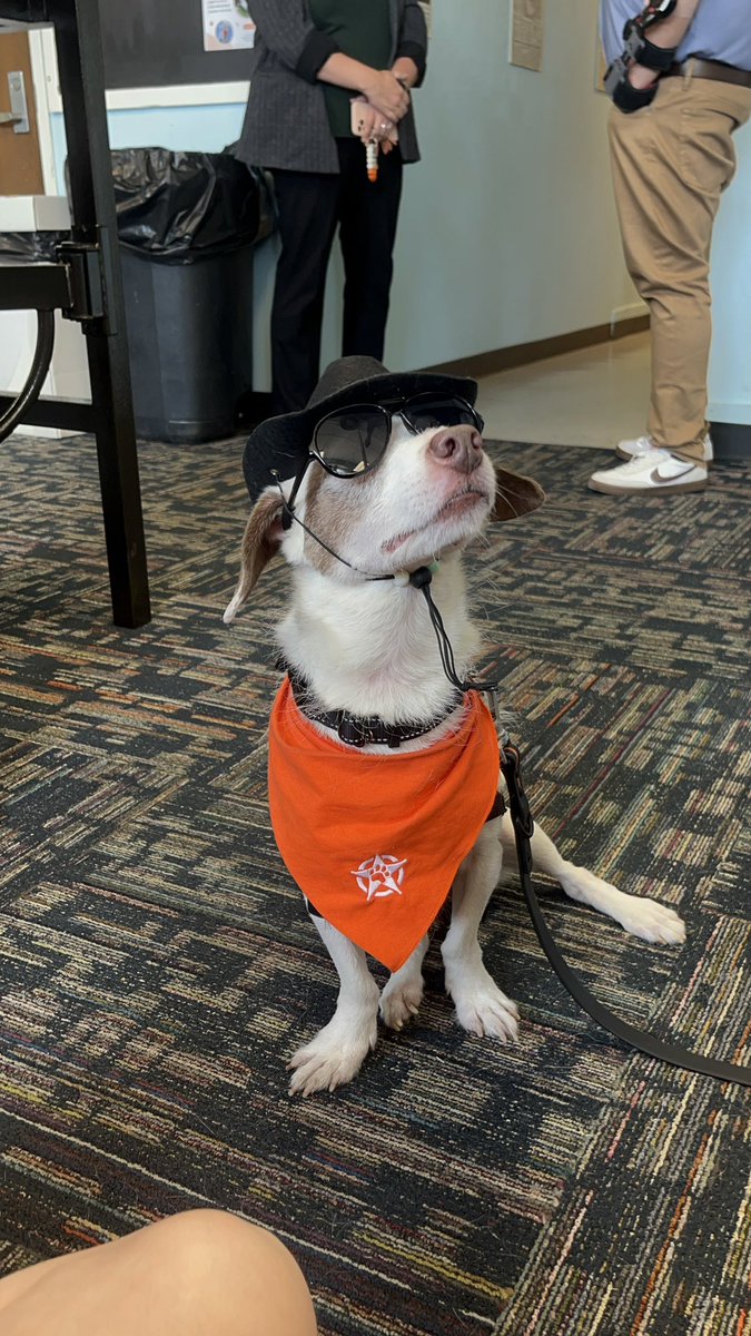 OSU SM&SC tweet media