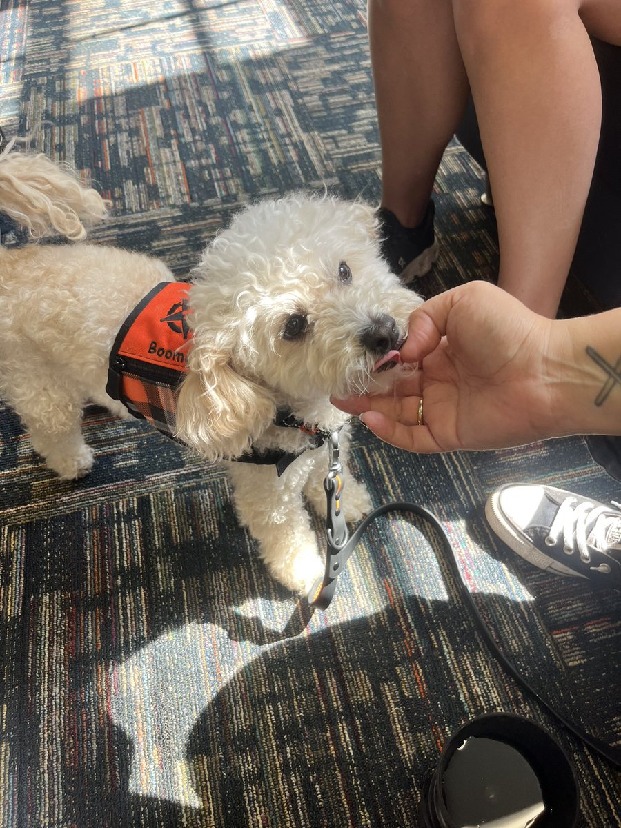 OSU SM&SC tweet media