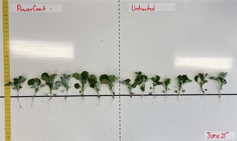 CropNutrition tweet media