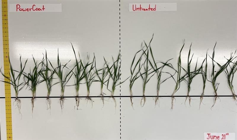 CropNutrition tweet media