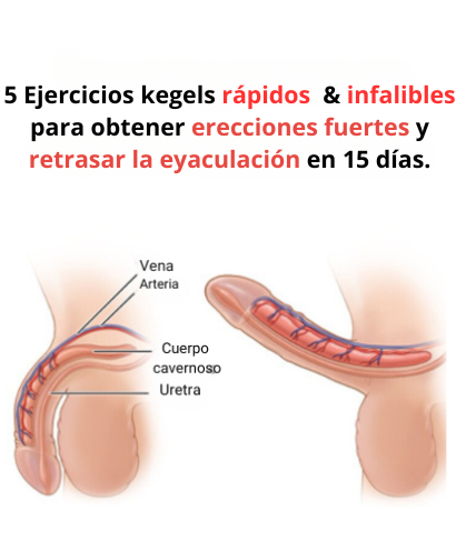 Fernandoelsexo's tweet photo. 🚨 ACTUALIZACIÓN 🚨

Mi guía con una serie de sencillos ejercicios de Kegel y consejos para fortalecer el músculo PC 💪🏻 🍆

El objetivo es conseguir erecciones de acero y retrasar las eyaculaciones 🔥 🤫

Para recibirlo en DM, necesita RT + LIKE 
Comentado "PC"

¡100% GRATIS! https://t.co/ctObftMKzS