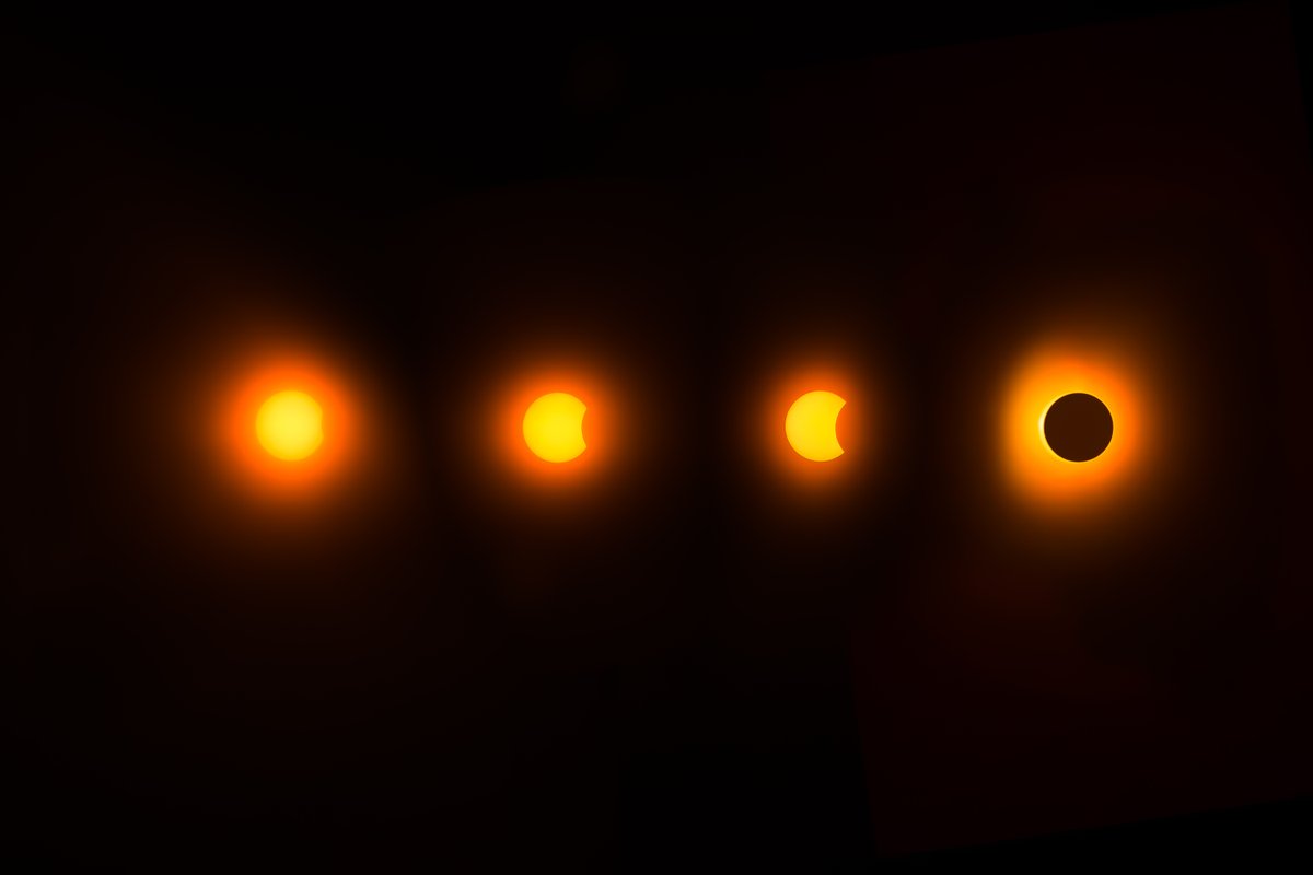 Scott King tweet media