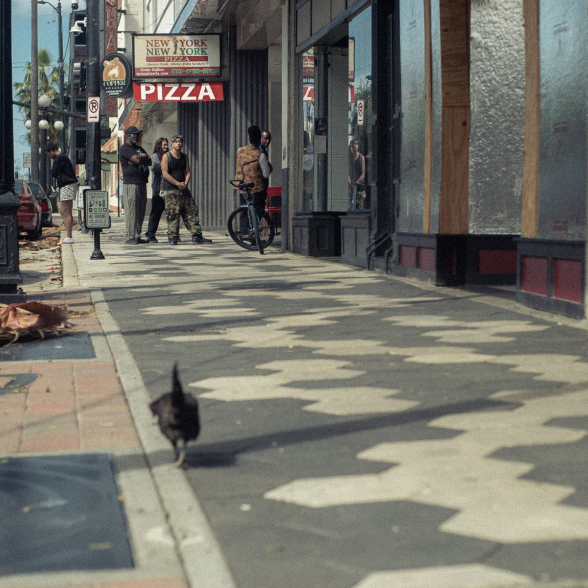 The chickens are alive and well in ybor lol