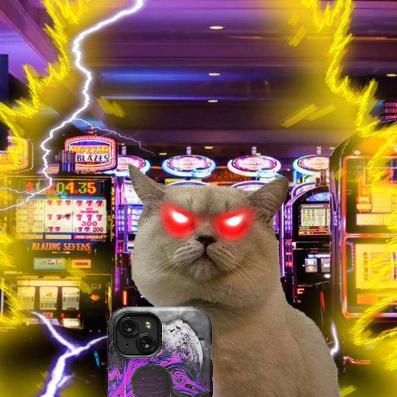 SelfieCatCoin's tweet photo. Still taking $CELFIE https://t.co/UwUTMbGTe7