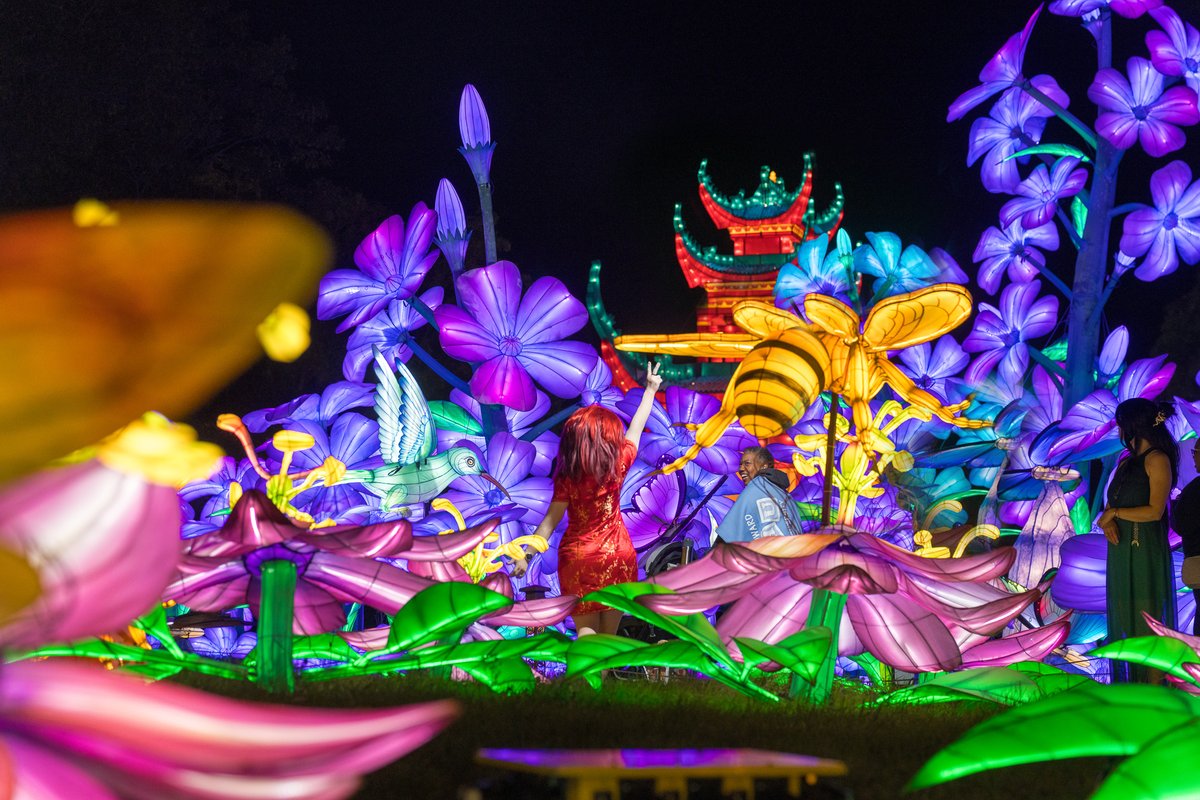 Afrodyte87's tweet photo. Beneath the glow of lanterns lies a path to adventure. Shall we see where it leads?
Whatever path you take this weekend I hope it is filled with love, laughter and is guided by the light you bring to others!
🔗: https://t.co/zgQC8Lw7qP
📍: @chinalightswi
#chinalights #kigurumi https://t.co/Wj4tkN2X23