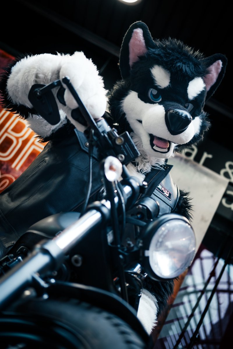 LondonFurs Summer Party pics will -finally- be up on FurTrack once they're approved. Sorry for the long wait on these! #FursuitFriday