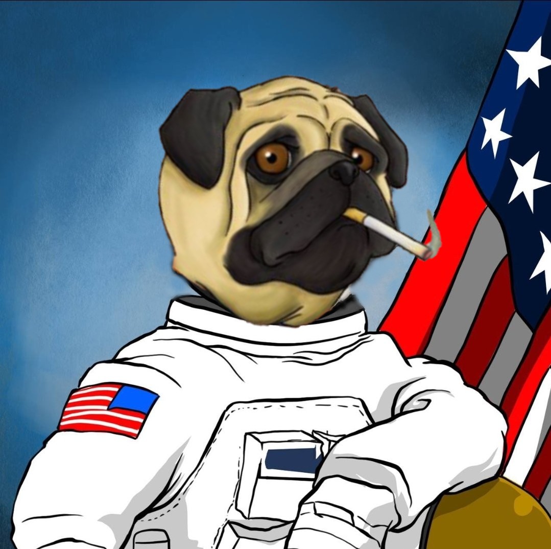 Fuzzer42069's tweet photo. @cryptobaddie1 Let's just pump $sbd
@SmokingBonerDog 
This dog is still just a pumpy puppy.  

SMOKING BONER DOG is about to come.  
Ca: CybgSTbt5oS3iHcjoUeH4s6sDZdWbysZMu2rFov6CFeE https://t.co/vMTtYRsGet