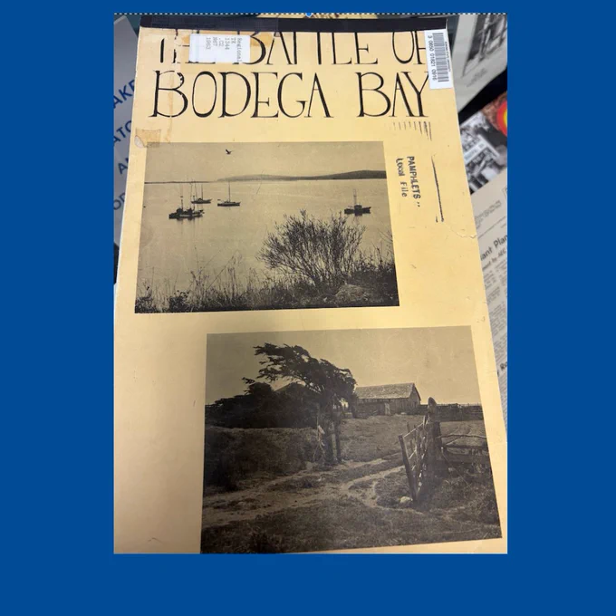 Cover of a book titled "The Battle of Bodega Bay"