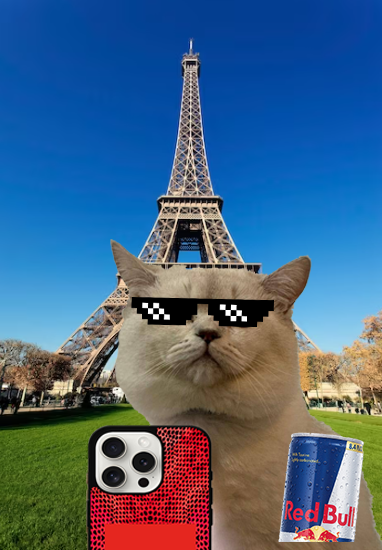 SelfieCatCoin's tweet photo. From Paris, Living My Best Life 🤳😺

$CELFIE https://t.co/hz8xHdhYMN