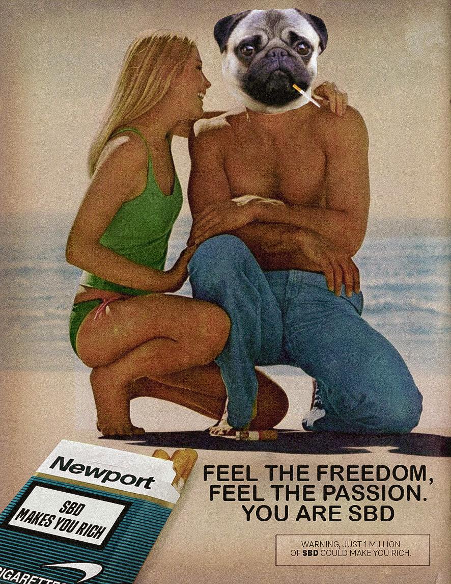Fuzzer42069's tweet photo. @joegrower420 Yeah fuck the kabal
@SmokingBonerDog 
$SBD 🚬
Ca: CybgSTbt5oS3iHcjoUeH4s6sDZdWbysZMu2rFov6CFeE https://t.co/wXkYimSCSX