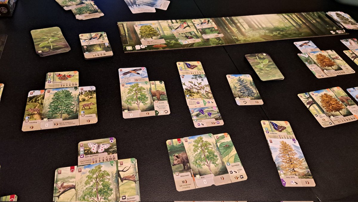 Sibi30015224's tweet photo. Erste Partie #Mischwald mit der neuen #Waldrand Erweiterung. Natürlich auch mit #Alpin und der #Meepe Promokarte. Jetzt ist das Spiel komplett. Die neue Erweiterungen bringt nochmal eine Vielzahl neuer, starker Kombos rein. Mega gut! Absolute Empfehlung. Kaufpflicht für alle!🌲🦔 https://t.co/gOMUzb3N56