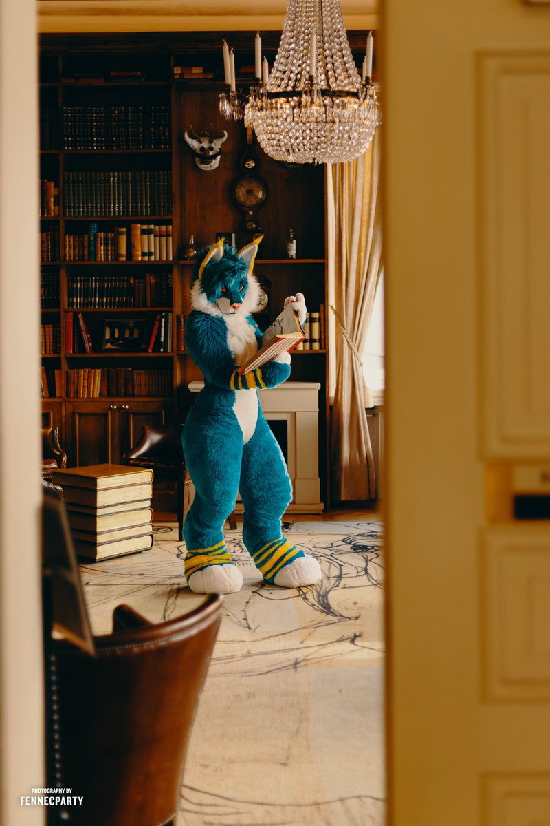 🕯️📜🦉🪶

📸 <a href="/FENNECPARTY/">MYLO 🦊📸</a> 
🪡 (Head) <a href="/DexterousZombie/">DZ Fiber Art</a>