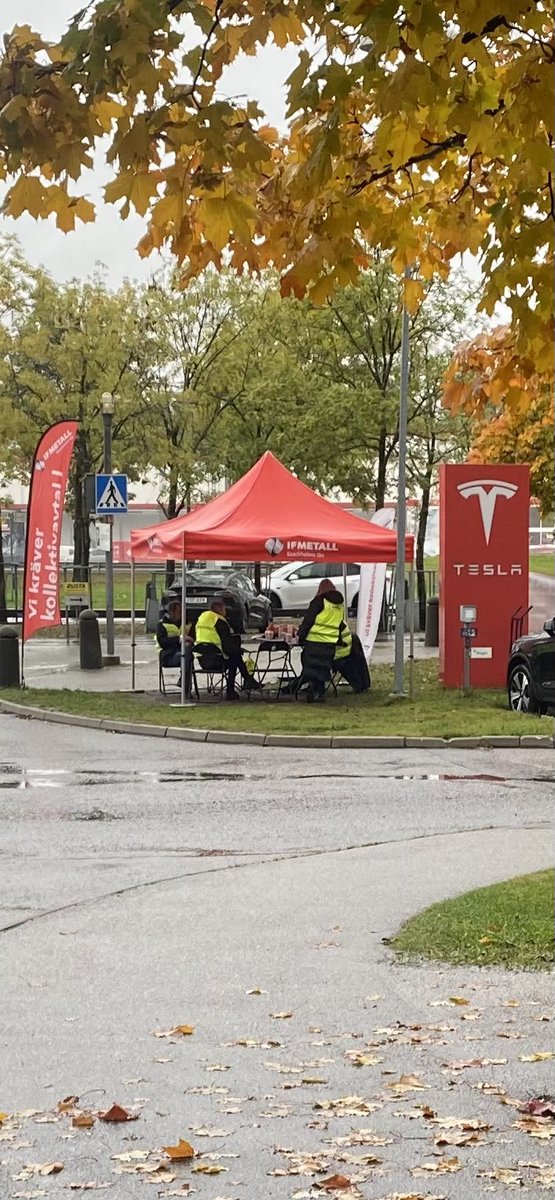 Janne3000's tweet photo. Perfekt färg-matchat https://t.co/RiS93tqcZ2