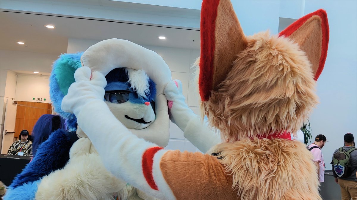 茶々虎 / Chachatora tweet media