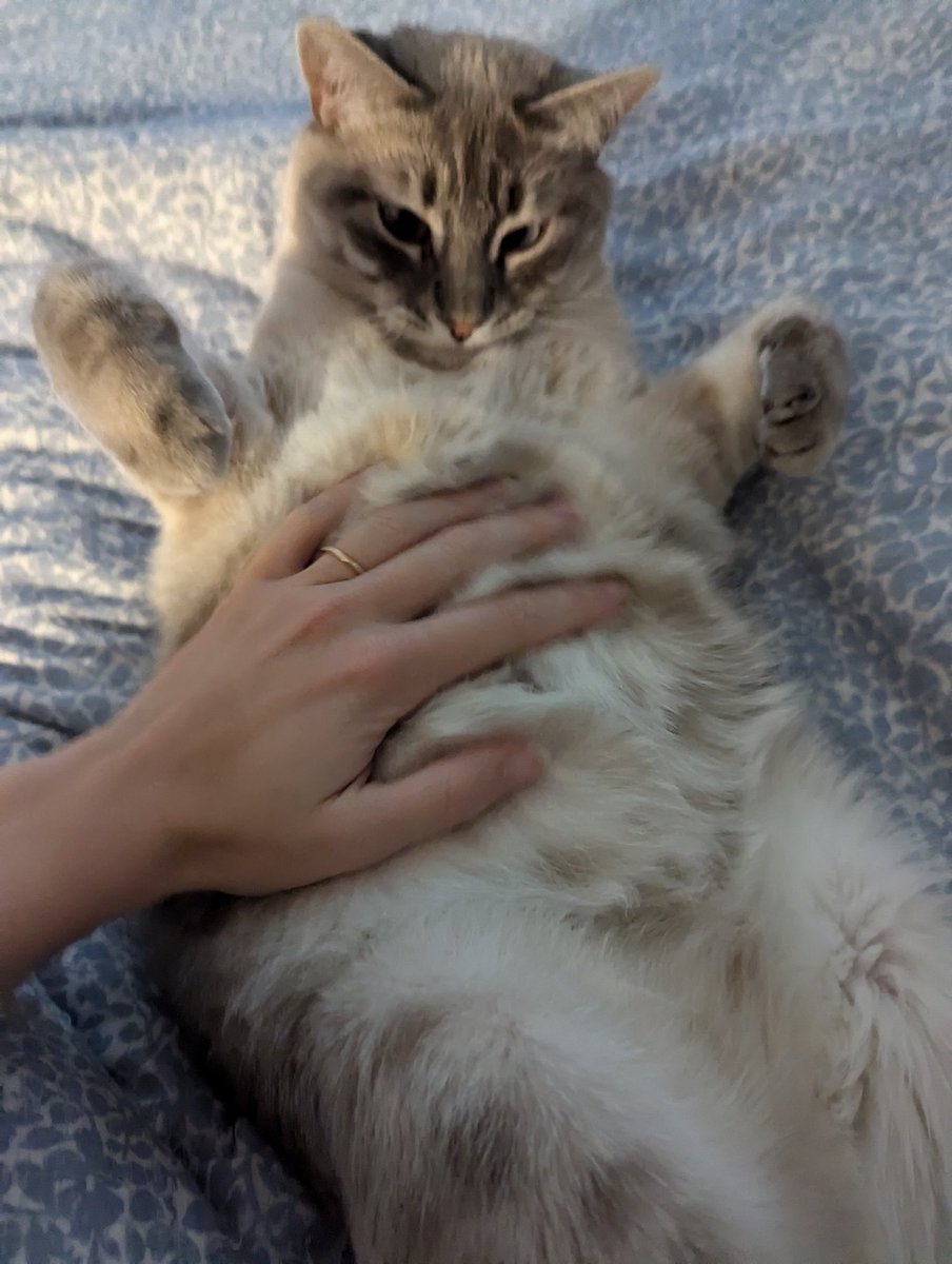 Ellie Singer 🥥🌴 tweet media