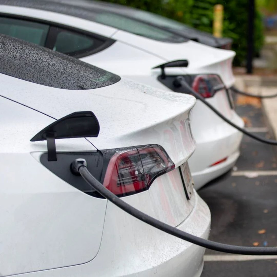 It’s Clean Energy Month! Learn about clean energy and its local impact in our recent blog about how clean energy can bring jobs to South Carolina: coastalconservationleague.org/blog/clean-ene…