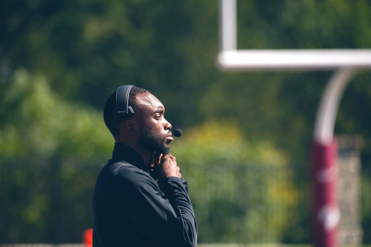 Dom Bradshaw🐾 tweet media