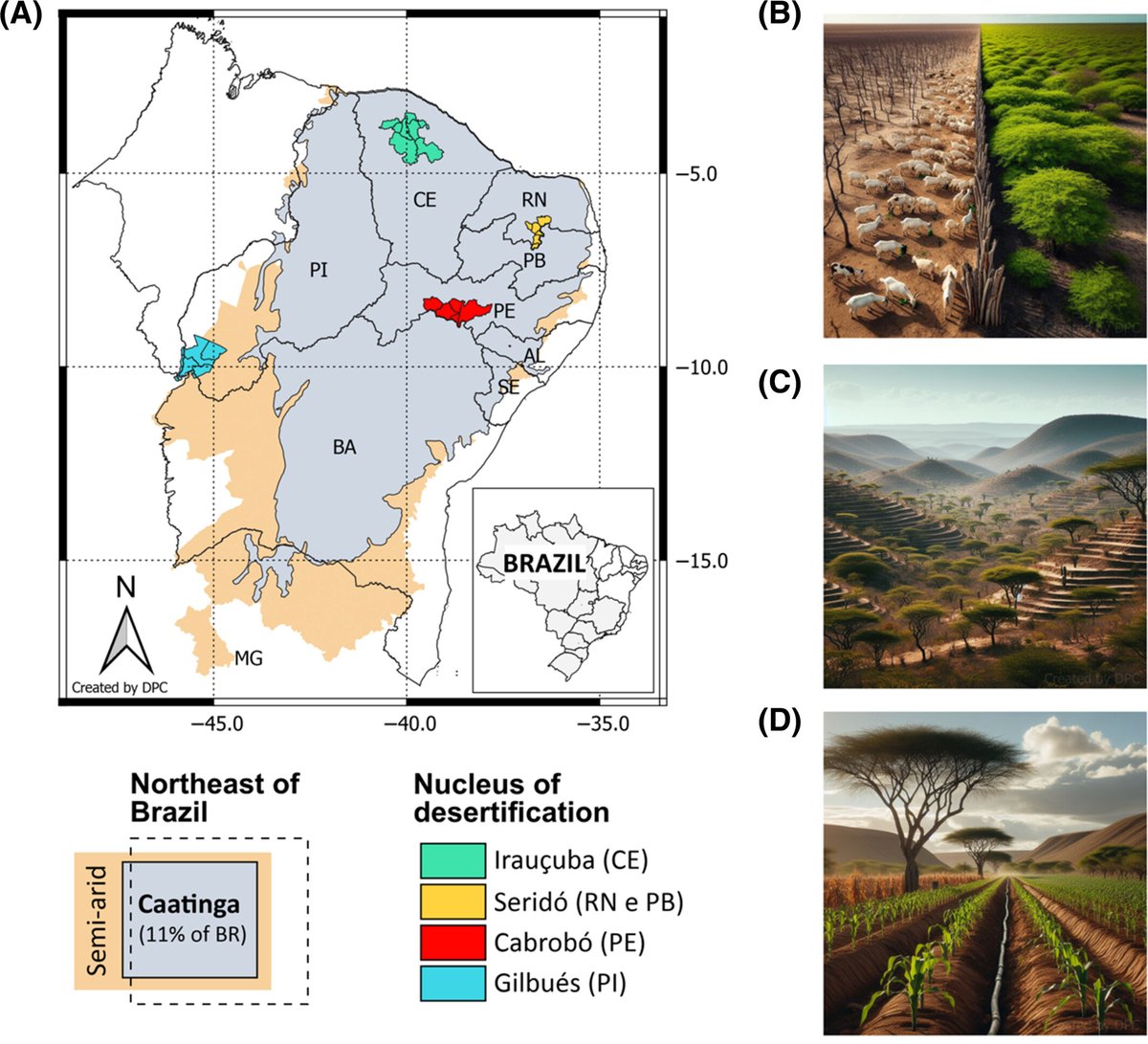 lwmendes's tweet photo. Caatinga Microbiome Initiative: disentangling the soil microbiome across areas under desertification and restoration in the Brazilian drylands
https://t.co/9cy95eZAlW https://t.co/m7phBuJ1RY